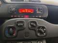 Fiat Panda Panda 1.2 Easy S*IVA DEDUCIBILE Bianco - thumbnail 14