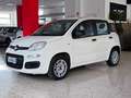 Fiat Panda Panda 1.2 Easy S*IVA DEDUCIBILE Bianco - thumbnail 6