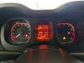 Fiat Panda Panda 1.2 Easy S*IVA DEDUCIBILE Bianco - thumbnail 13