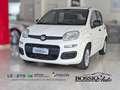 Fiat Panda Panda 1.2 Easy S*IVA DEDUCIBILE Bianco - thumbnail 1
