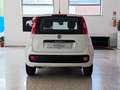 Fiat Panda Panda 1.2 Easy S*IVA DEDUCIBILE Bianco - thumbnail 5