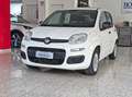 Fiat Panda Panda 1.2 Easy S*IVA DEDUCIBILE Bianco - thumbnail 7