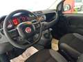 Fiat Panda Panda 1.2 Easy S*IVA DEDUCIBILE Bianco - thumbnail 9