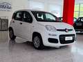 Fiat Panda Panda 1.2 Easy S*IVA DEDUCIBILE Bianco - thumbnail 3