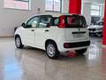 Fiat Panda Panda 1.2 Easy S*IVA DEDUCIBILE Bianco - thumbnail 4