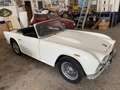 Triumph TR4 SPORT Weiß - thumbnail 9