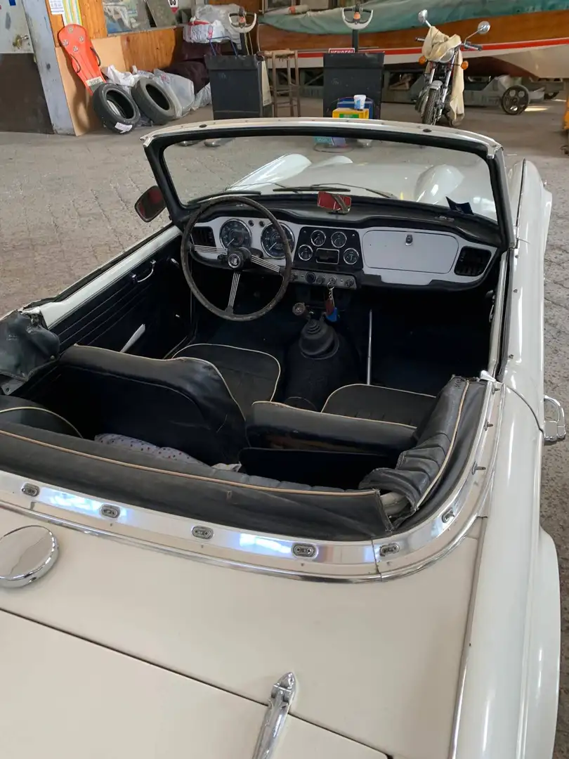 Triumph TR4 SPORT Weiß - 2