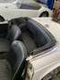Triumph TR4 SPORT Weiß - thumbnail 3