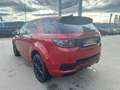 Land Rover Discovery Sport P300e PHEV AWD R-Dynamic SE Aut. Rot - thumbnail 7