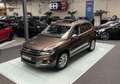 Volkswagen Tiguan 1.4 TSI PANO!! Clima!! Trekhaak!! Stoelverwarming! Brun - thumbnail 3