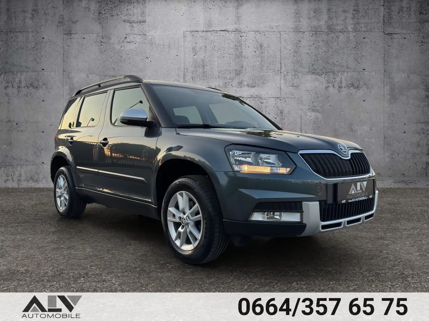 Skoda Yeti Ambition Outdoor DSG Automatik 1.Besitz! Grau - 1