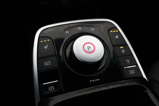 Kia e-Niro view 8