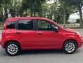 Fiat Panda More/2Hand/Scheckheft/Tempo/Klima/ Rot - thumbnail 4