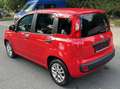 Fiat Panda More/2Hand/Scheckheft/Tempo/Klima/ Rot - thumbnail 6