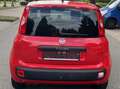 Fiat Panda More/2Hand/Scheckheft/Tempo/Klima/ Rot - thumbnail 7