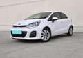 Kia Rio 1.1CRDi WGT Concept Weiß - thumbnail 10