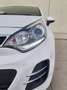 Kia Rio 1.1CRDi WGT Concept Weiß - thumbnail 7
