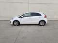 Kia Rio 1.1CRDi WGT Concept Weiß - thumbnail 8