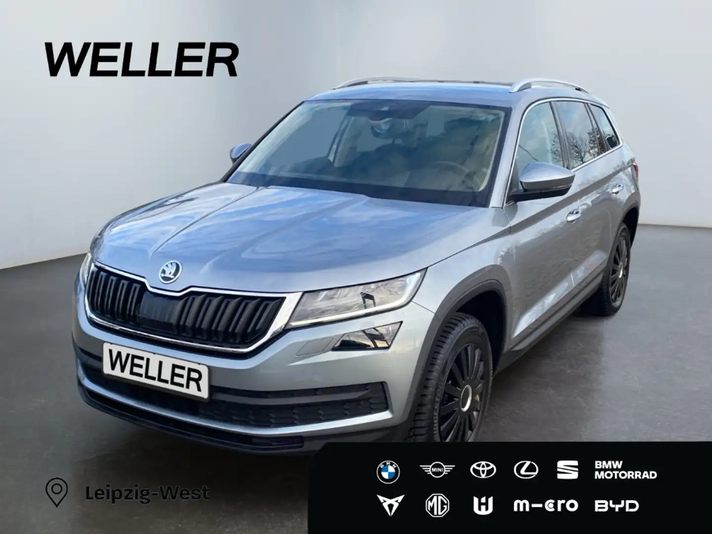 Skoda Kodiaq 2.0 TSI 4x4 DSG Style *LED*AHK*el. Heckkl* Grau - 1