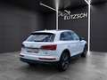 Audi Q5 45 TFSI advanced quattro S-tronic LED Nai AVC 19" Weiß - thumbnail 5