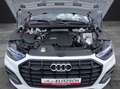 Audi Q5 45 TFSI advanced quattro S-tronic LED Nai AVC 19" Weiß - thumbnail 9