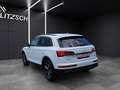 Audi Q5 45 TFSI advanced quattro S-tronic LED Nai AVC 19" Weiß - thumbnail 4