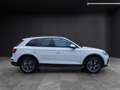 Audi Q5 45 TFSI advanced quattro S-tronic LED Nai AVC 19" Weiß - thumbnail 7