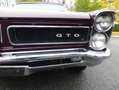 Pontiac GTO 389 ci Tri Power Braun - thumbnail 3