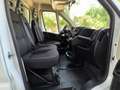 Fiat Ducato Ch.Cb.35 2.2Mjt L3 H1 140CV Blanco - thumbnail 8