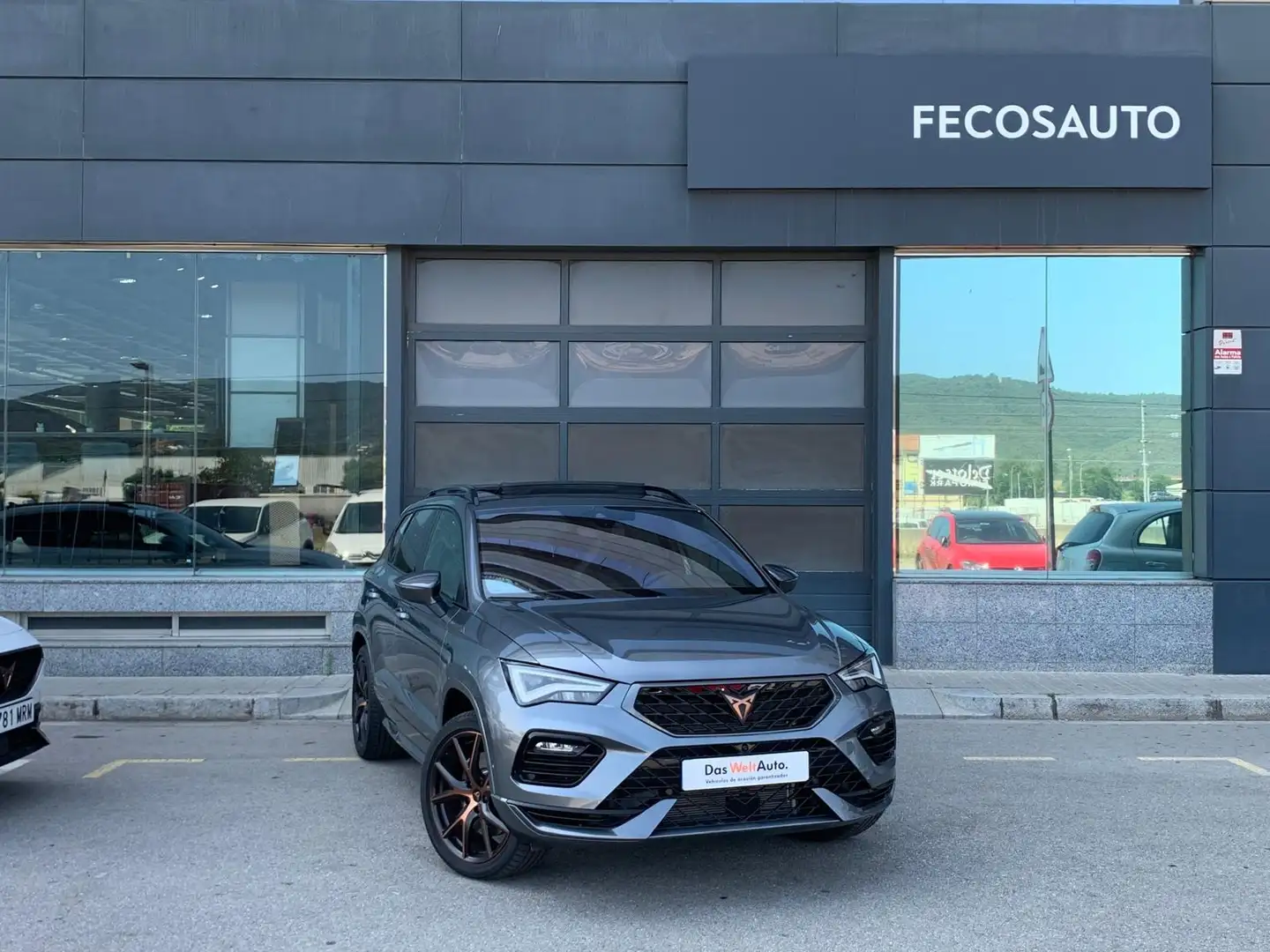CUPRA Ateca 2.0 TSI 300 DSG 4Drive Grau - 1