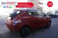 Lancia Ypsilon Ypsilon 1.2 69 CV 5 porte Platinum Unicoproprieta Rosso - thumbnail 13