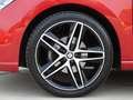 SEAT Ibiza 1.0 TSI FR Business Intense 115 PK !! FULL OPTIONS Rood - thumbnail 3