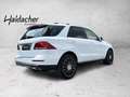 Mercedes-Benz GLE 250 d 4MATIC RKam PTS Shz Ambi eHeck CarPlay Blanc - thumbnail 6
