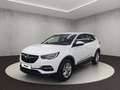 Opel Grandland X . Blanc - thumbnail 1
