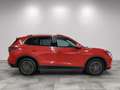 Volkswagen Tiguan Elegance 1.5 eTSI neues Mod./AHK/LED-Plus Rot - thumbnail 6