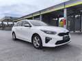 Kia Ceed SW / cee'd SW SW 1,6 CRDi SCR ISG Gold 48V DCT AHK Garantie - thumbnail 19