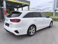 Kia Ceed SW / cee'd SW SW 1,6 CRDi SCR ISG Gold 48V DCT AHK Garantie - thumbnail 16