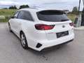 Kia Ceed SW / cee'd SW SW 1,6 CRDi SCR ISG Gold 48V DCT AHK Garantie - thumbnail 14