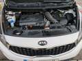 Kia Carens Carens 1.7CRDi VGT Eco-Dynamics Concept Concept Blanco - thumbnail 1