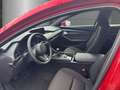 Mazda 3 Centre-Line 2.5 Driver Assistance & Sound-Paket 36 Rot - thumbnail 7