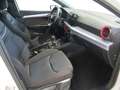 SEAT Ibiza 1.0 TSI S&S FR DSG7 110 Blanc - thumbnail 5