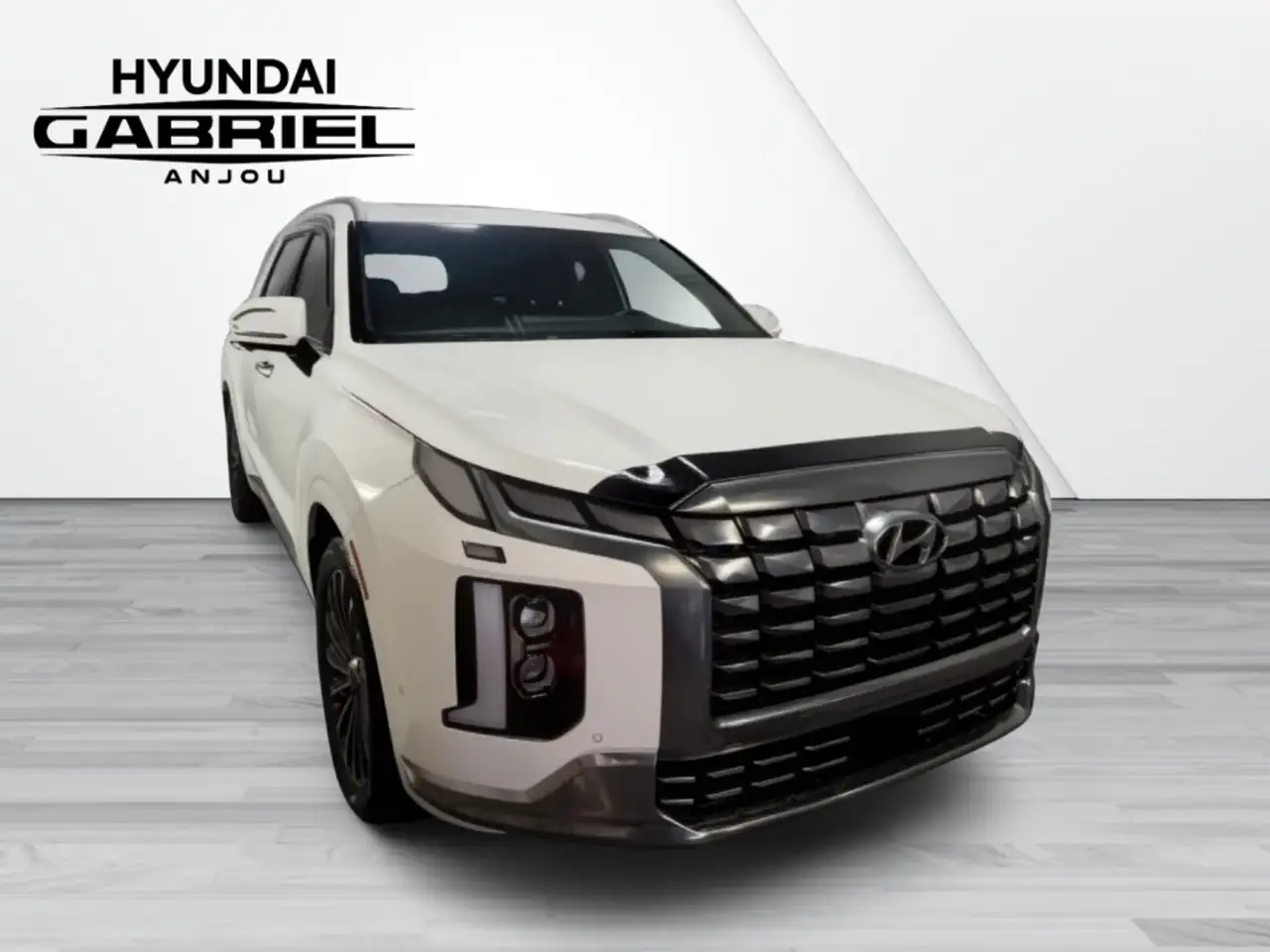 Hyundai PALISADE снимка Hyundai PALISADE