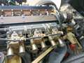 Jaguar E-Type II serie FHC due posti Giallo - thumbnail 11