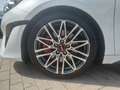 Kia ProCeed / pro_cee'd PRO_CEE'D 1.6T AUTOMATIK GT GLASDACH KOMFORT White - thumbnail 7