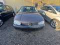 Volkswagen Golf Golf IV 1.4 Comfortline - thumbnail 1