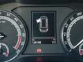 Skoda Karoq 1.6 TDI SCR KM CERTIFICATI - GARANZIA - thumbnail 10