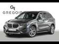 BMW X1 Naviplus|Hud|Camera|Parkassist Grau - thumbnail 1