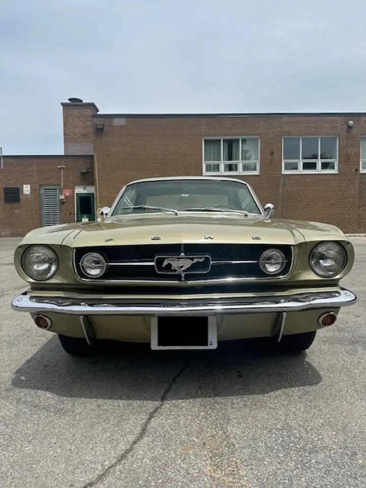 Ford Mustang снимка Ford Mustang