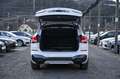 BMW X1 xDrive 25d M-Sport Aut. AHK+LED+LEDER+RADAR Weiß - thumbnail 22