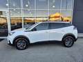 Peugeot 2008 PureTech 100 S&S Style 6-Gang-Manuell Weiß - thumbnail 3
